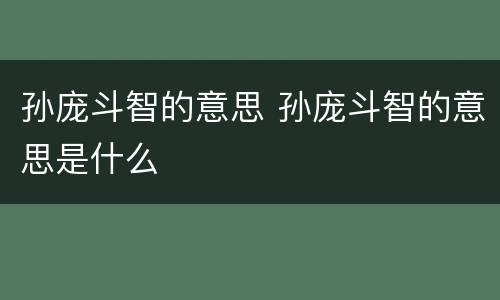 孙庞斗智的意思 孙庞斗智的意思是什么