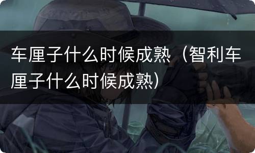 车厘子什么时候成熟（智利车厘子什么时候成熟）