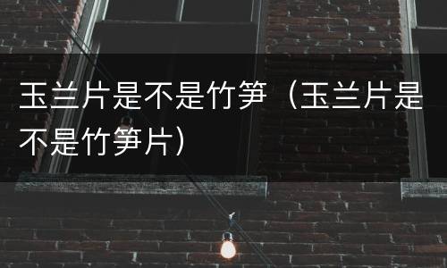 玉兰片是不是竹笋（玉兰片是不是竹笋片）