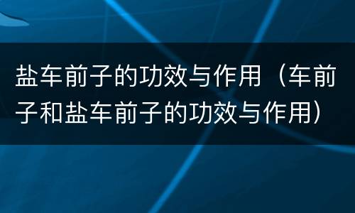 盐车前子的功效与作用（车前子和盐车前子的功效与作用）