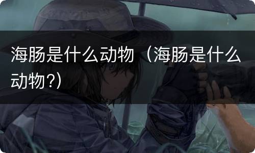海肠是什么动物（海肠是什么动物?）