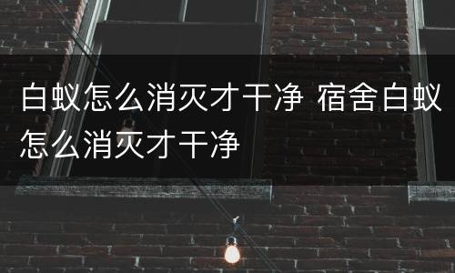 白蚁怎么消灭才干净 宿舍白蚁怎么消灭才干净