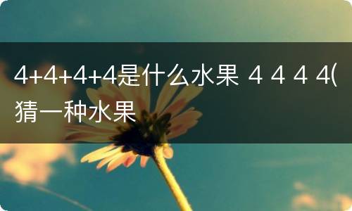 4+4+4+4是什么水果 4 4 4 4(猜一种水果