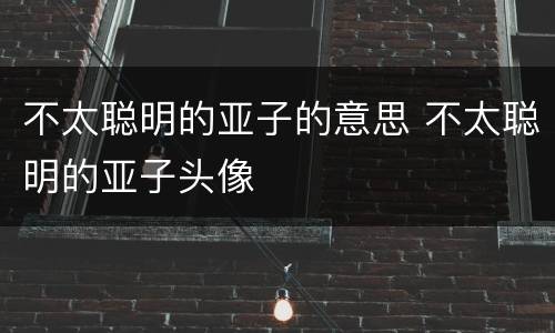 不太聪明的亚子的意思 不太聪明的亚子头像