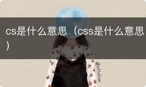 cs是什么意思（css是什么意思）
