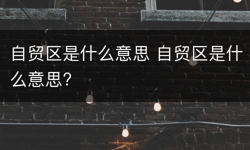 自贸区是什么意思 自贸区是什么意思?