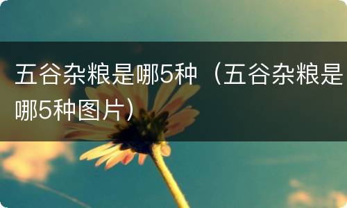 五谷杂粮是哪5种（五谷杂粮是哪5种图片）