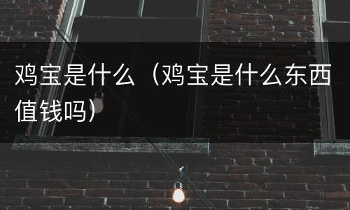鸡宝是什么（鸡宝是什么东西值钱吗）