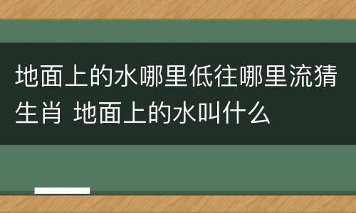 地面上的水哪里低往哪里流猜生肖 地面上的水叫什么