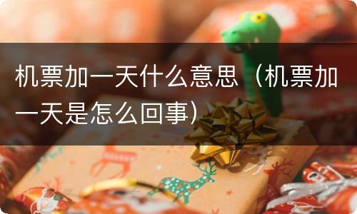 机票加一天什么意思（机票加一天是怎么回事）