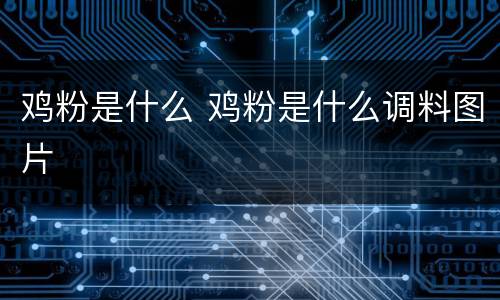 鸡粉是什么 鸡粉是什么调料图片