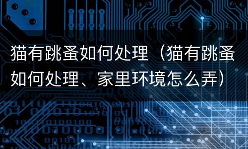 猫有跳蚤如何处理（猫有跳蚤如何处理、家里环境怎么弄）