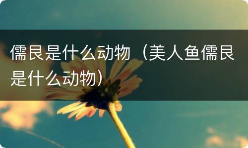 儒艮是什么动物（美人鱼儒艮是什么动物）