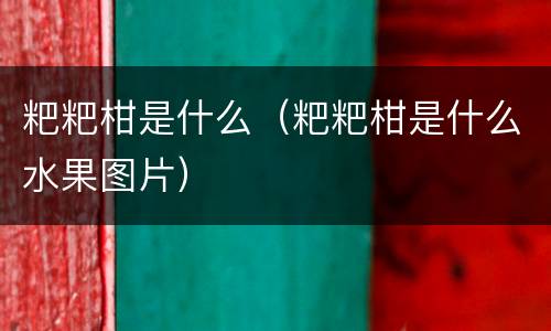 粑粑柑是什么（粑粑柑是什么水果图片）