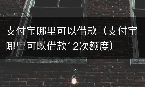 支付宝哪里可以借款（支付宝哪里可以借款12次额度）