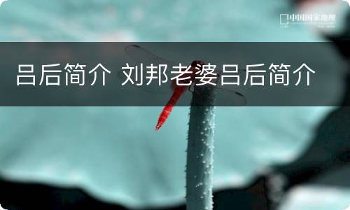 吕后简介 刘邦老婆吕后简介