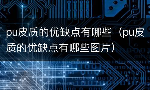 pu皮质的优缺点有哪些（pu皮质的优缺点有哪些图片）