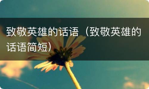 致敬英雄的话语（致敬英雄的话语简短）