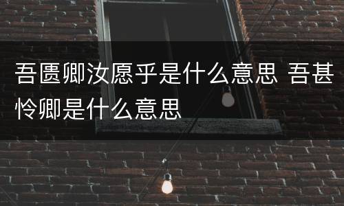 吾匮卿汝愿乎是什么意思 吾甚怜卿是什么意思