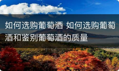 如何选购葡萄酒 如何选购葡萄酒和鉴别葡萄酒的质量