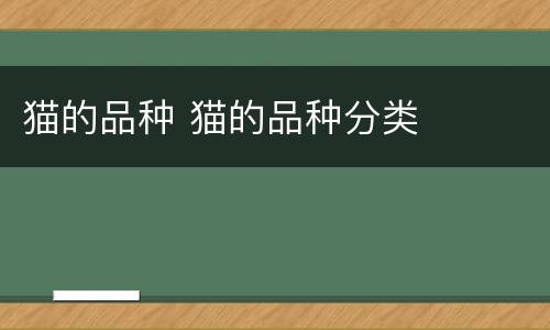 猫的品种 猫的品种分类