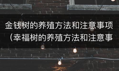 金钱树的养殖方法和注意事项（幸福树的养殖方法和注意事项）