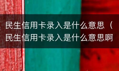 民生信用卡录入是什么意思（民生信用卡录入是什么意思啊）