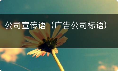 公司宣传语（广告公司标语）