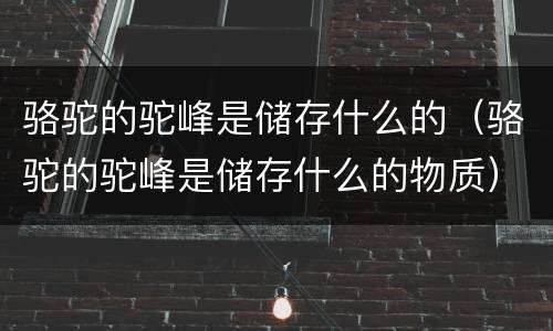 骆驼的驼峰是储存什么的（骆驼的驼峰是储存什么的物质）