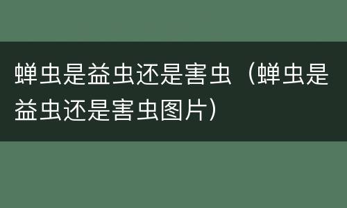蝉虫是益虫还是害虫（蝉虫是益虫还是害虫图片）