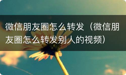 微信朋友圈怎么转发（微信朋友圈怎么转发别人的视频）