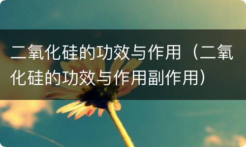 二氧化硅的功效与作用（二氧化硅的功效与作用副作用）