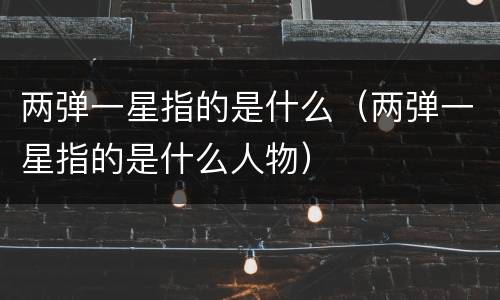 两弹一星指的是什么（两弹一星指的是什么人物）