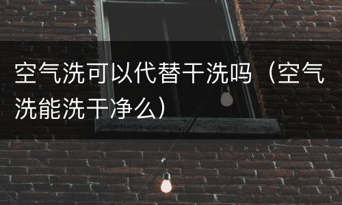 空气洗可以代替干洗吗（空气洗能洗干净么）
