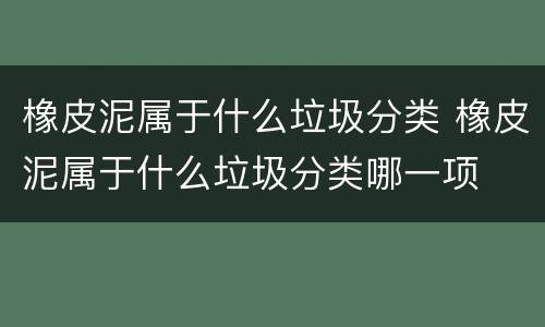 橡皮泥属于什么垃圾分类 橡皮泥属于什么垃圾分类哪一项