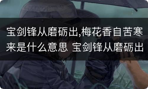 宝剑锋从磨砺出,梅花香自苦寒来是什么意思 宝剑锋从磨砺出,梅花香自苦寒来的含义