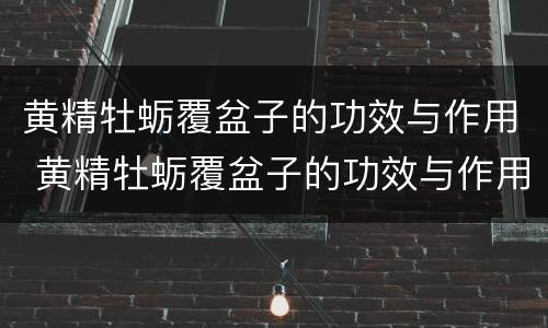黄精牡蛎覆盆子的功效与作用 黄精牡蛎覆盆子的功效与作用