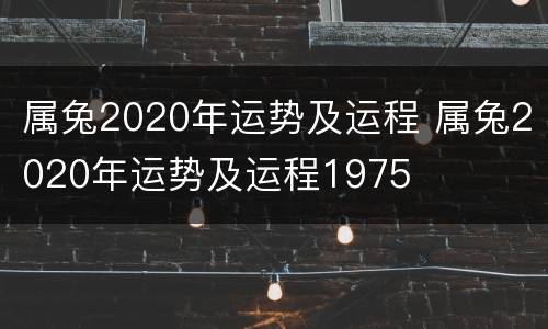 属兔2020年运势及运程 属兔2020年运势及运程1975