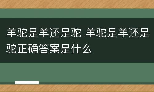 羊驼是羊还是驼 羊驼是羊还是驼正确答案是什么