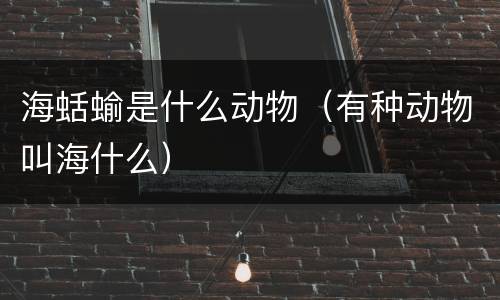 海蛞蝓是什么动物（有种动物叫海什么）