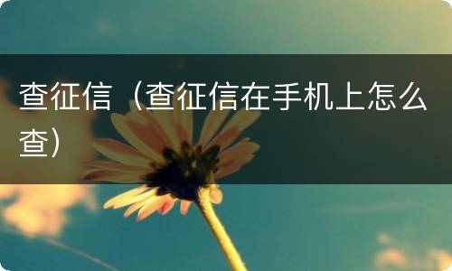 查征信（查征信在手机上怎么查）