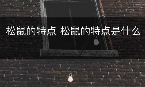 松鼠的特点 松鼠的特点是什么