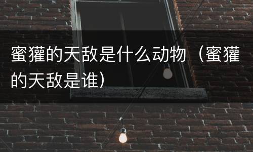 蜜獾的天敌是什么动物（蜜獾的天敌是谁）