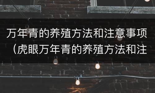 万年青的养殖方法和注意事项（虎眼万年青的养殖方法和注意事项）
