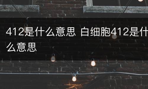 412是什么意思 白细胞412是什么意思