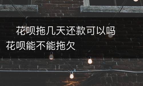 ​花呗拖几天还款可以吗  ​花呗能不能拖欠