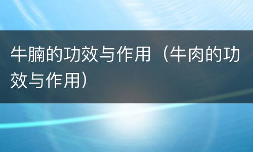 牛腩的功效与作用（牛肉的功效与作用）
