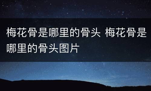 梅花骨是哪里的骨头 梅花骨是哪里的骨头图片