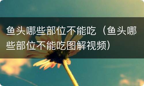 鱼头哪些部位不能吃（鱼头哪些部位不能吃图解视频）