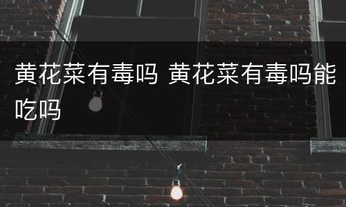 黄花菜有毒吗 黄花菜有毒吗能吃吗